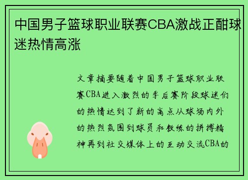 中国男子篮球职业联赛CBA激战正酣球迷热情高涨